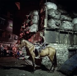 Le cheval chez les chiffonniers, Le Caire