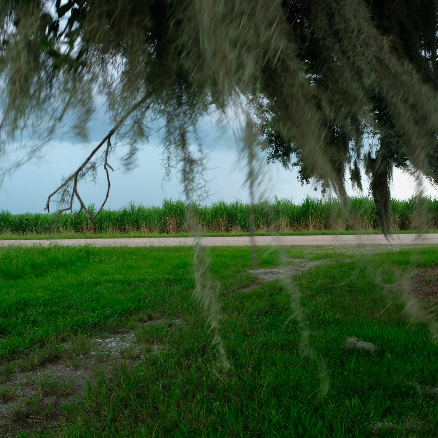 Irish Bend Road, Franklin, Louisiana