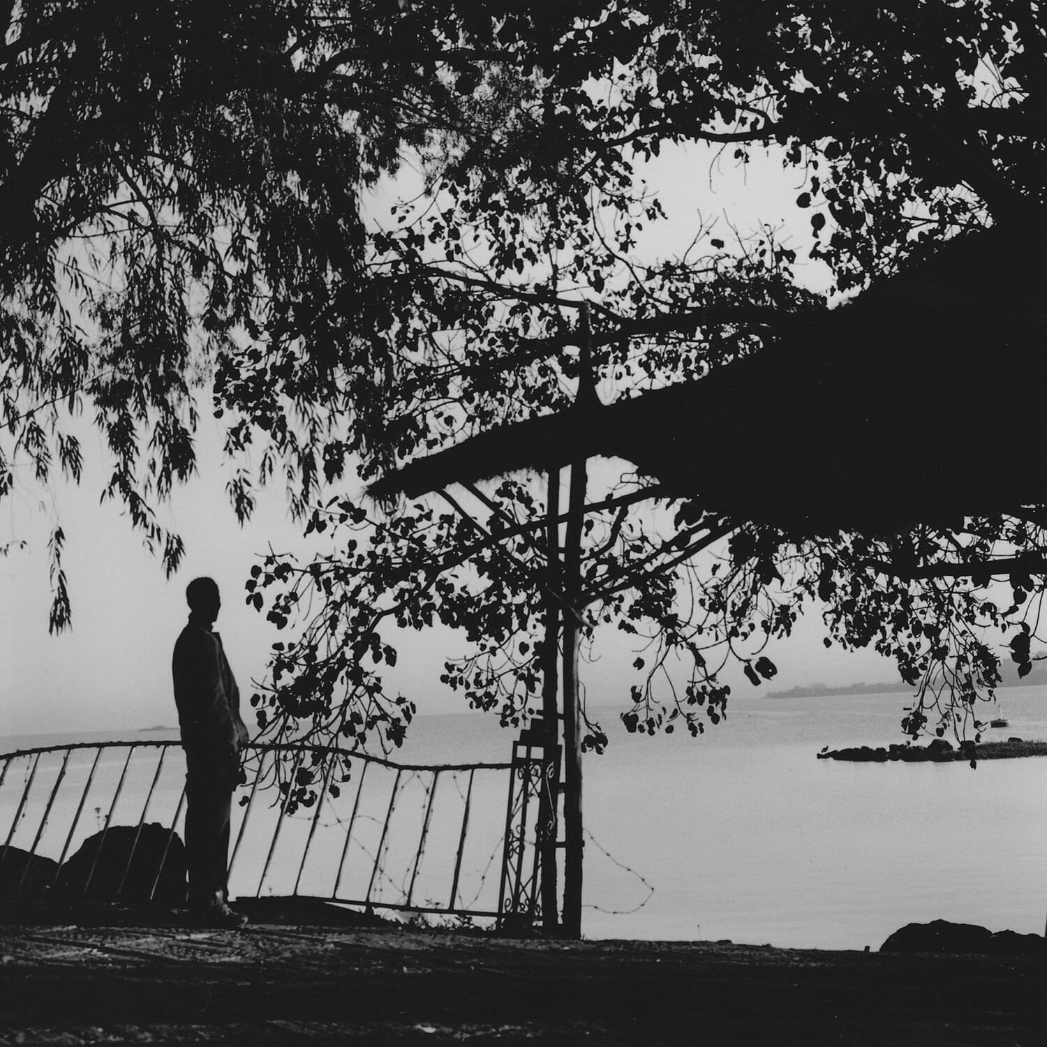 Le lac Tana, Bahar Dar