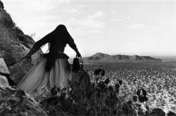 Mujer Ángel, Desierto de Sonora, México