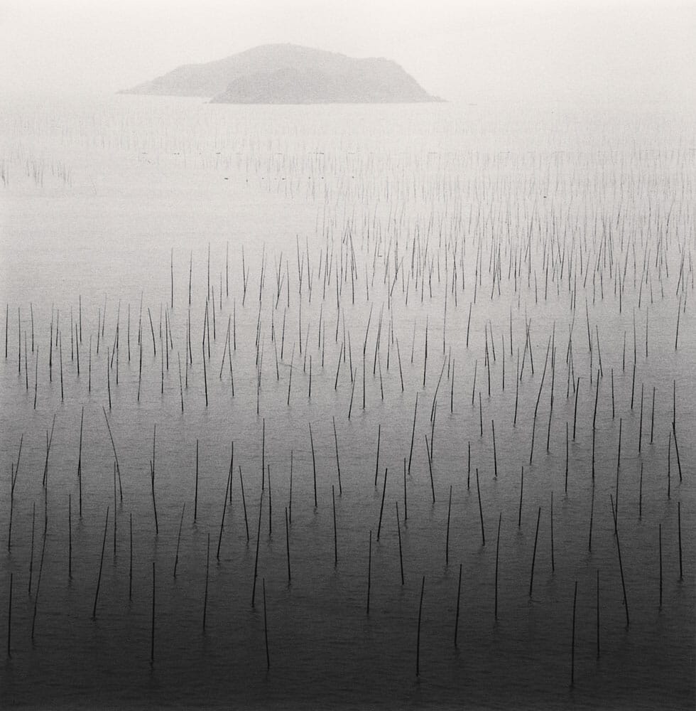 Seaweed Farms, Study 5, Xiapu, Fujian, China