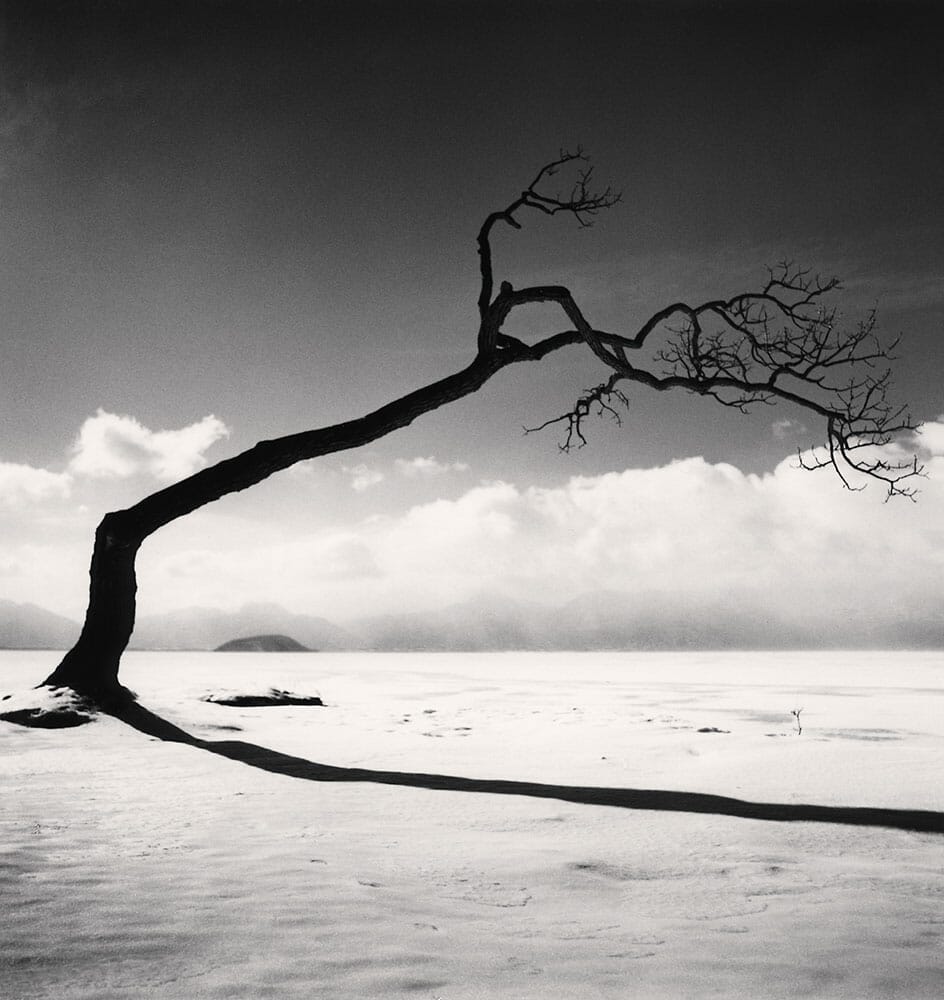 Kussharo Lake Tree, Study 10, Kotan, Hokkaido, Japan