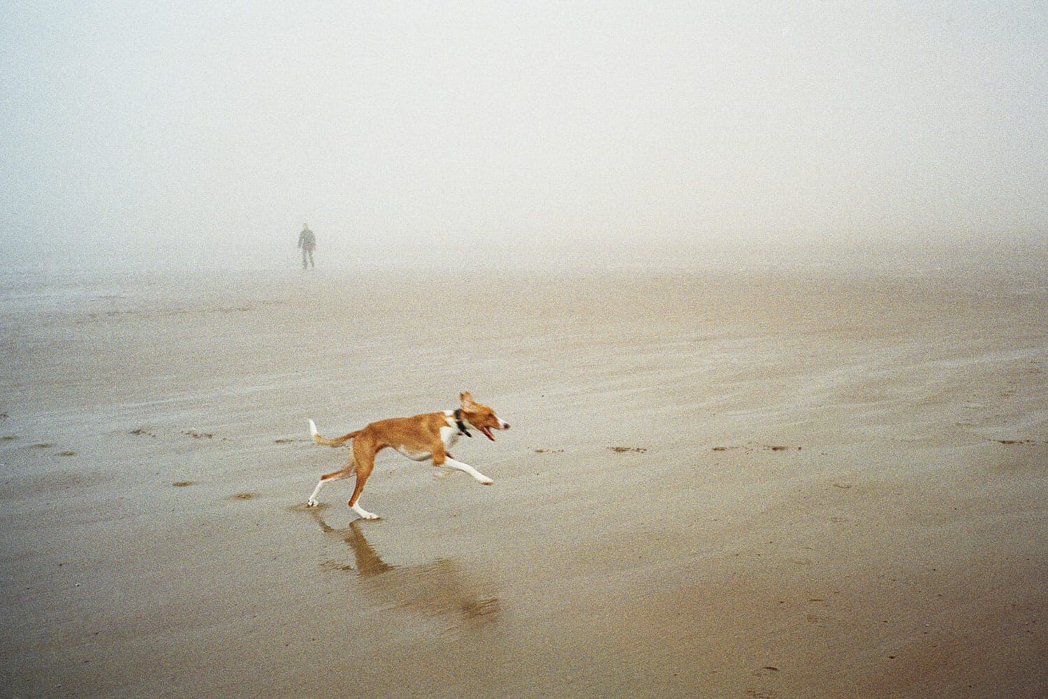 La plage, Ostende
