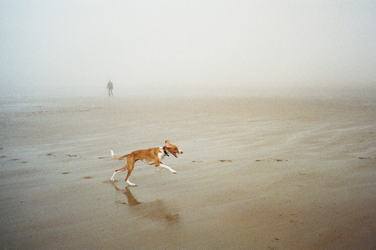 La plage, Ostende