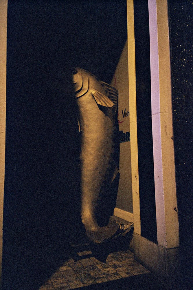 Entrée de poissonnerie, Ostende