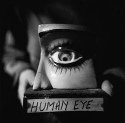 Eko and the human eye, Perth, Australia