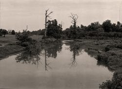 Hopson Bayou, Cotton Dixie Plantation, Vance, Tallahatchie County