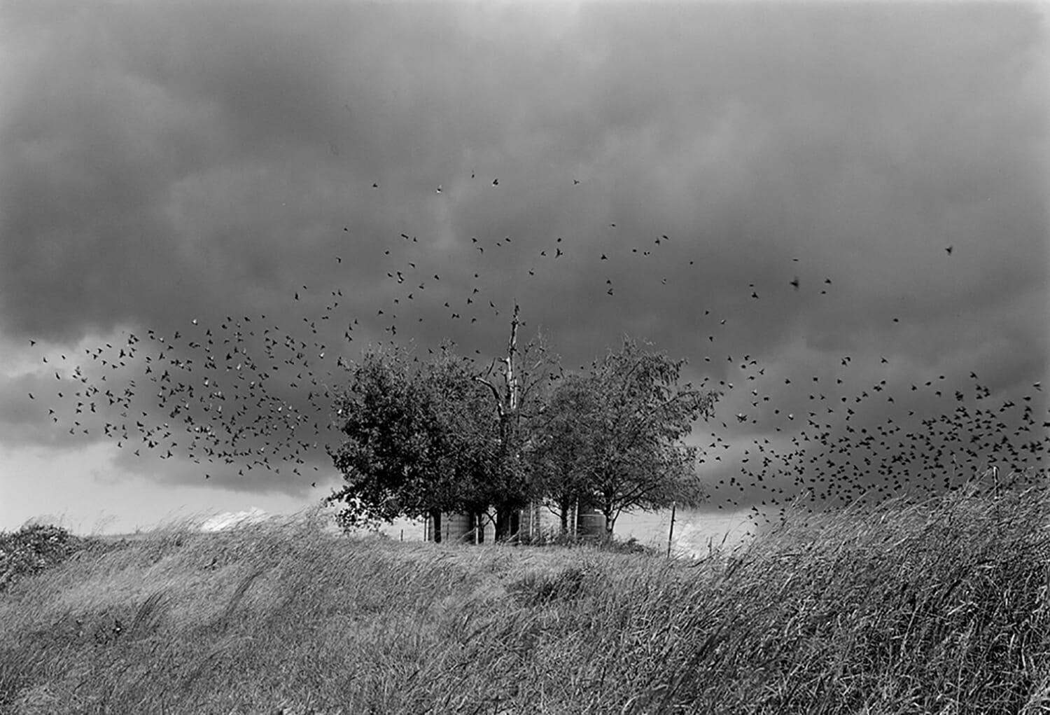 Near Jefferson City, Tennessee