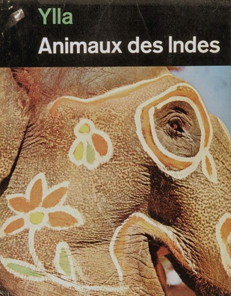 ANIMAUX ANIMAUX