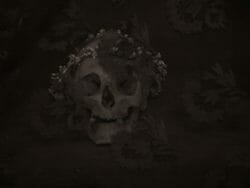 Vanitas Box