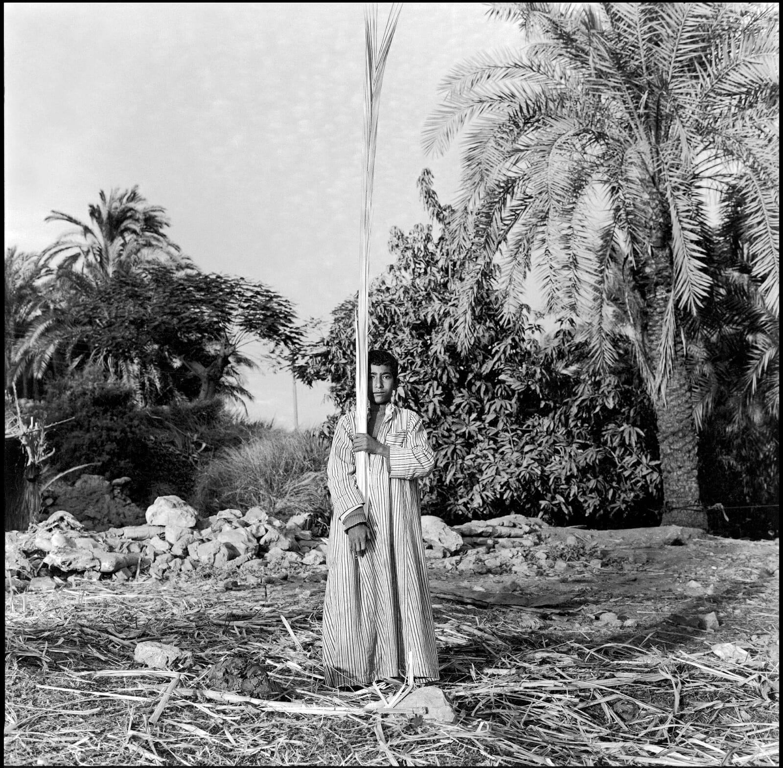 Enfant à la palme, Louxor