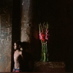 Enfant aux glaïeuls, marché aux fleurs, Calcutta