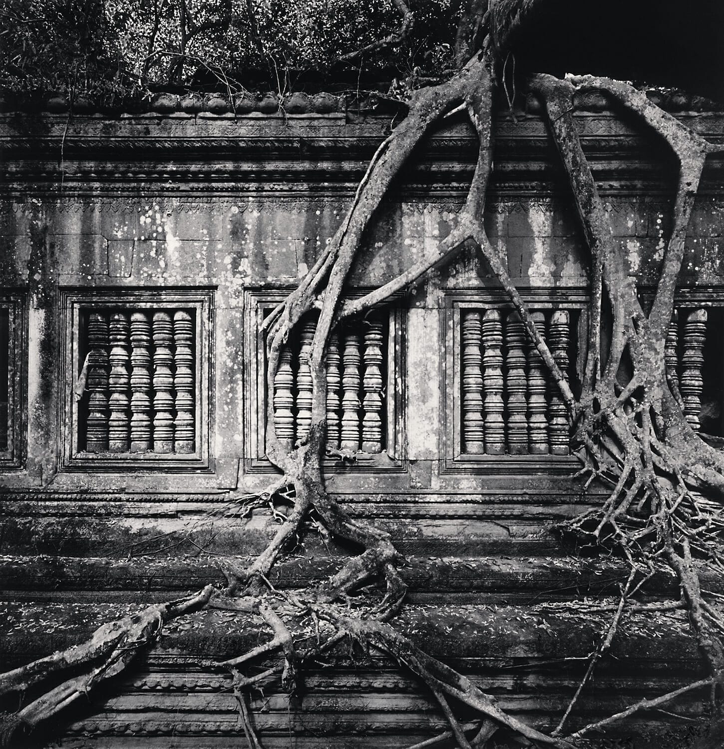 Ta Prohm Windows, Angkor, Cambodia