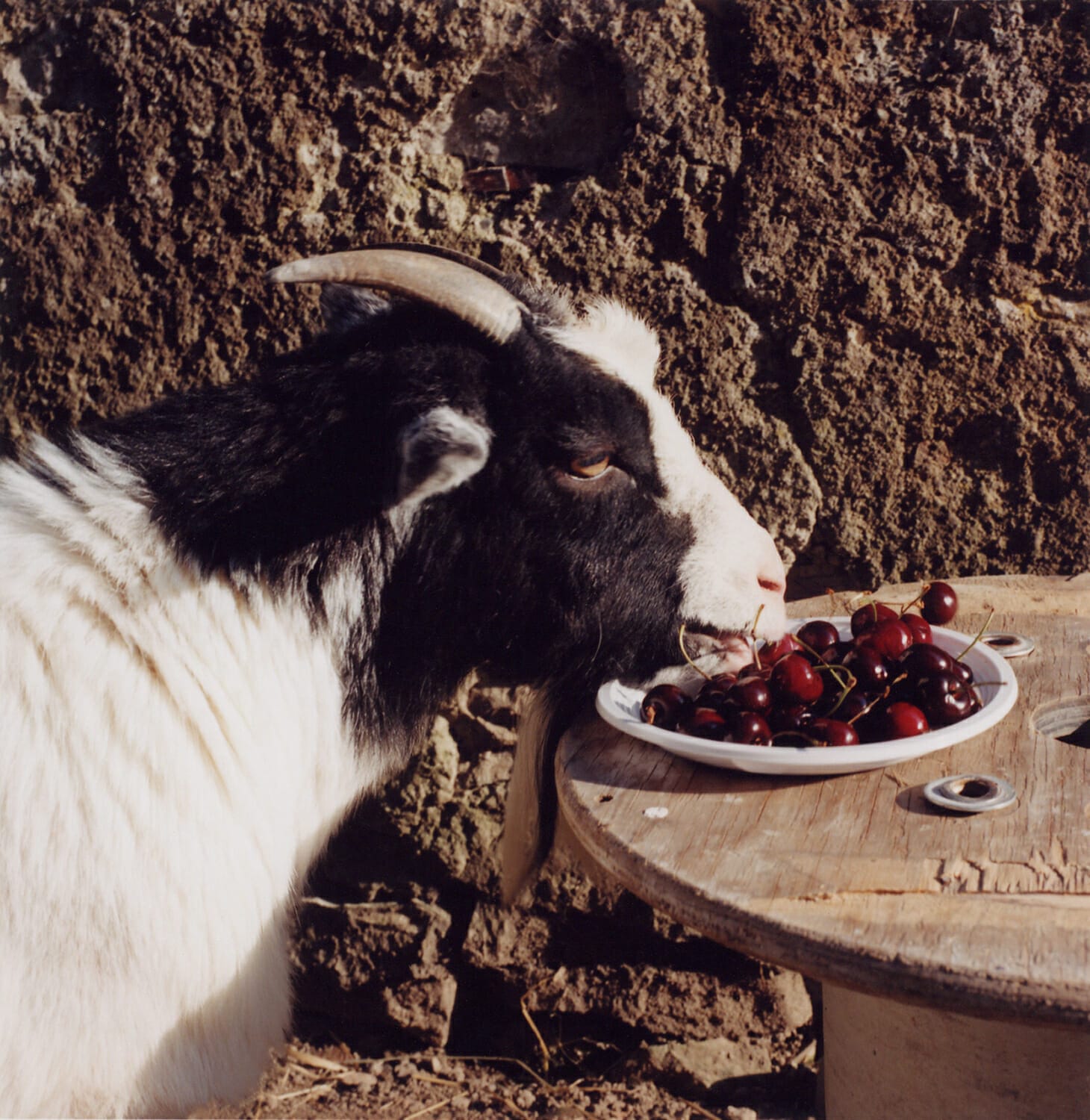 Pâquerette Christen, Heimsbrunn