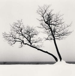 Two Leaning Trees, study 3, Kussharo Lake, Hokkaido, Japan