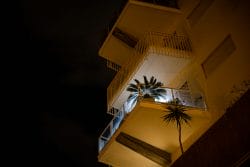 Balconies and Palm Trees