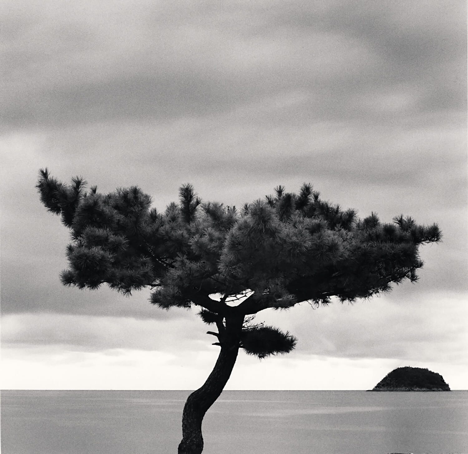Pine Tree and Nago Island, Tsuda, Shikoku, Japan