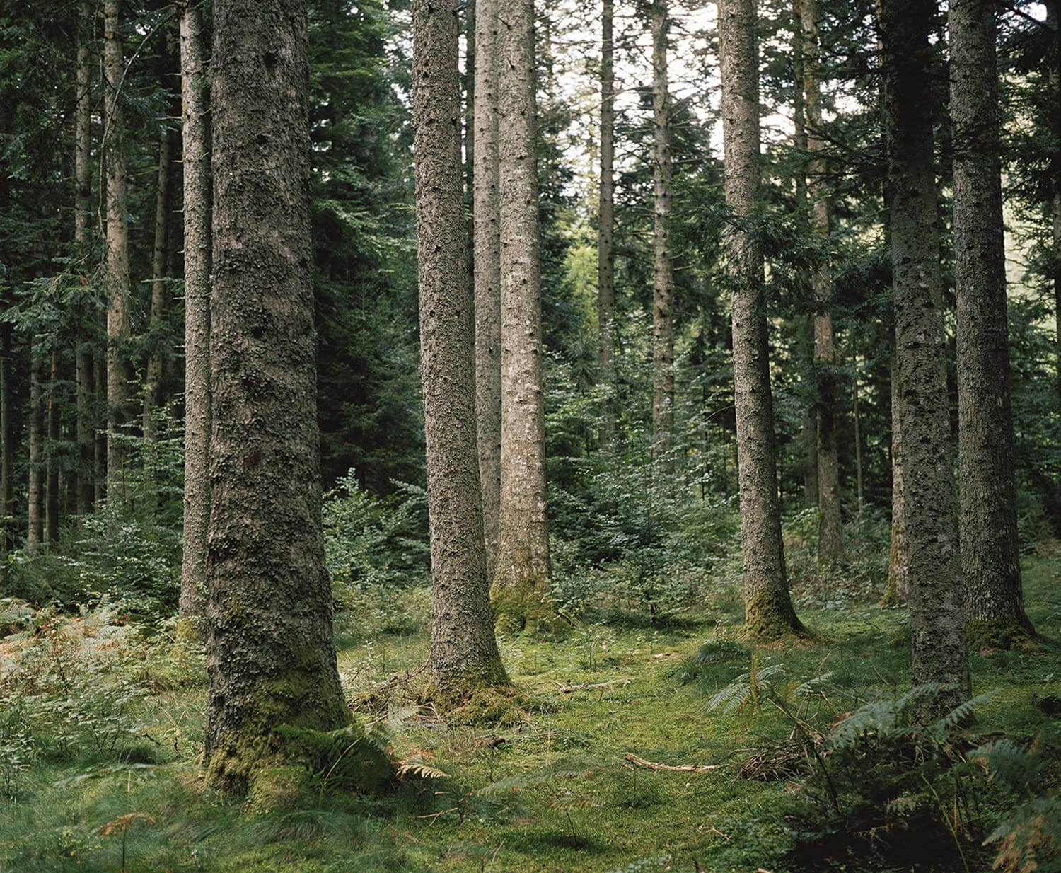 Clermont-Ferrand
