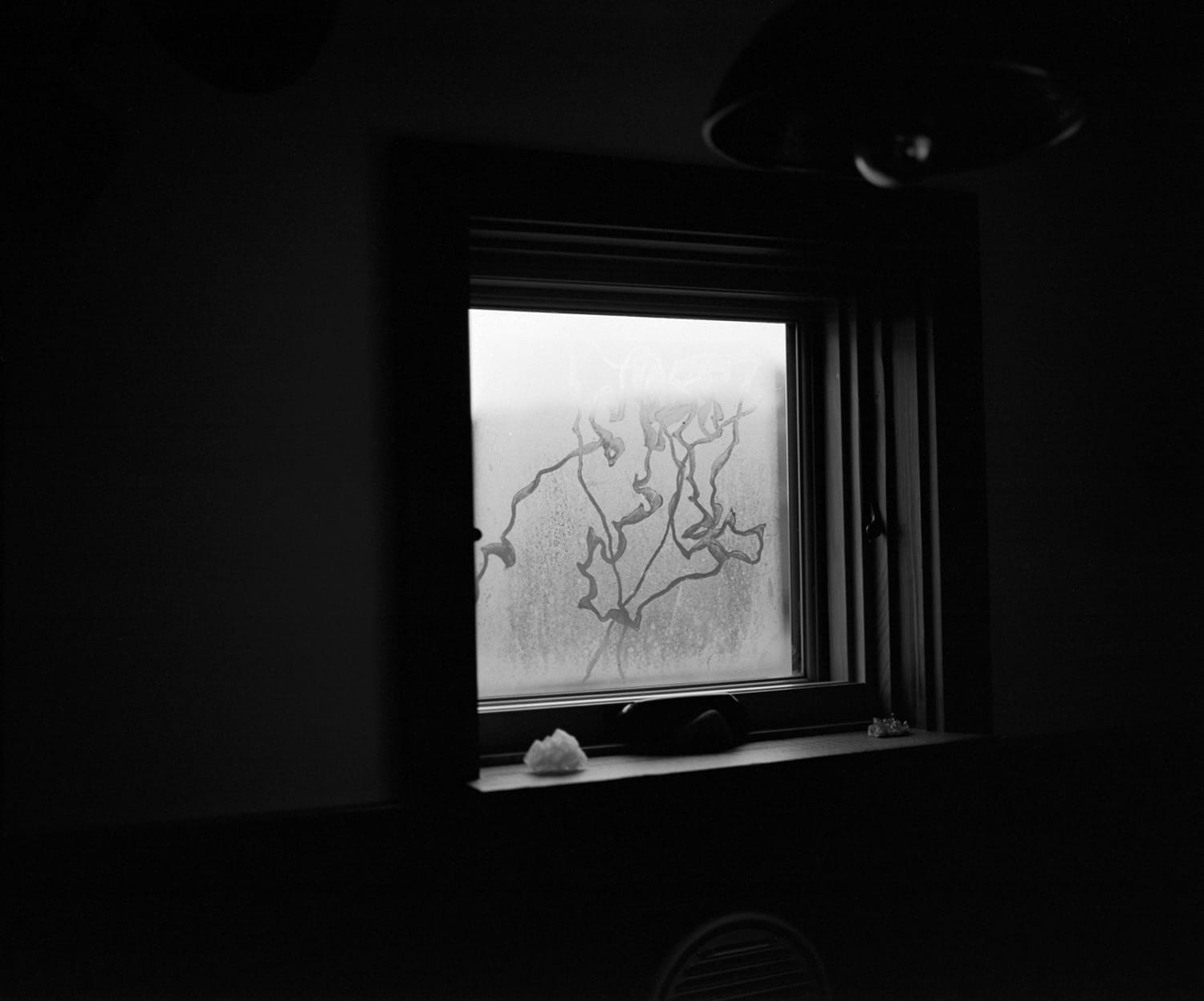 Slug Trail On Our Little Window, Athens, Georgia