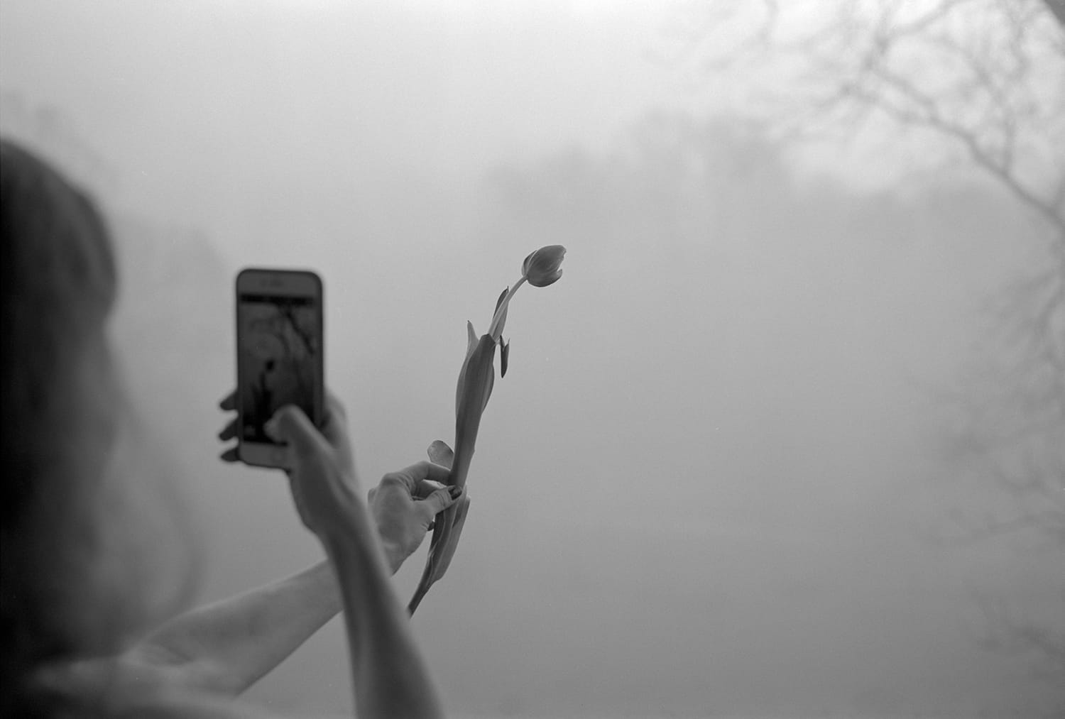 Irina Holding A Tulip, New Year’s Day, Athens, Georgia