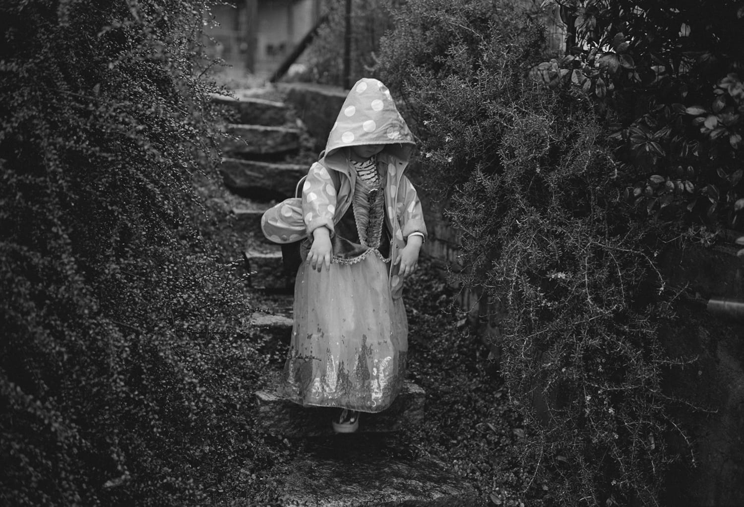 Amelia, Our House, Athens, Georgia