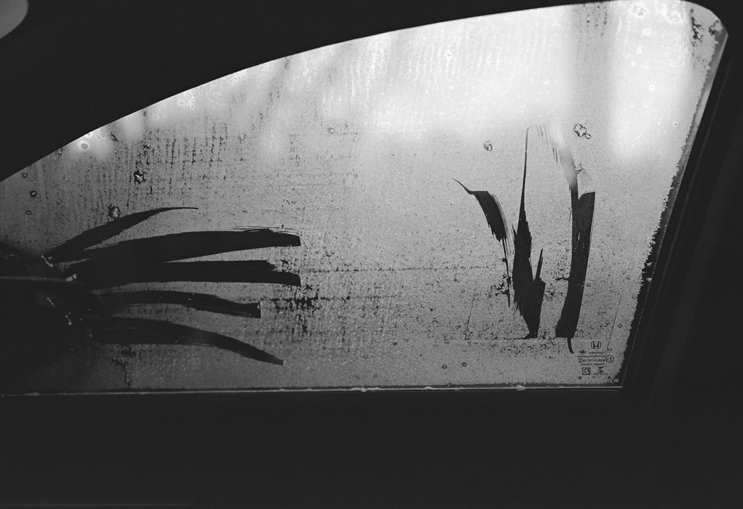 Morning Frost On The Car Window, Athens, Georgia