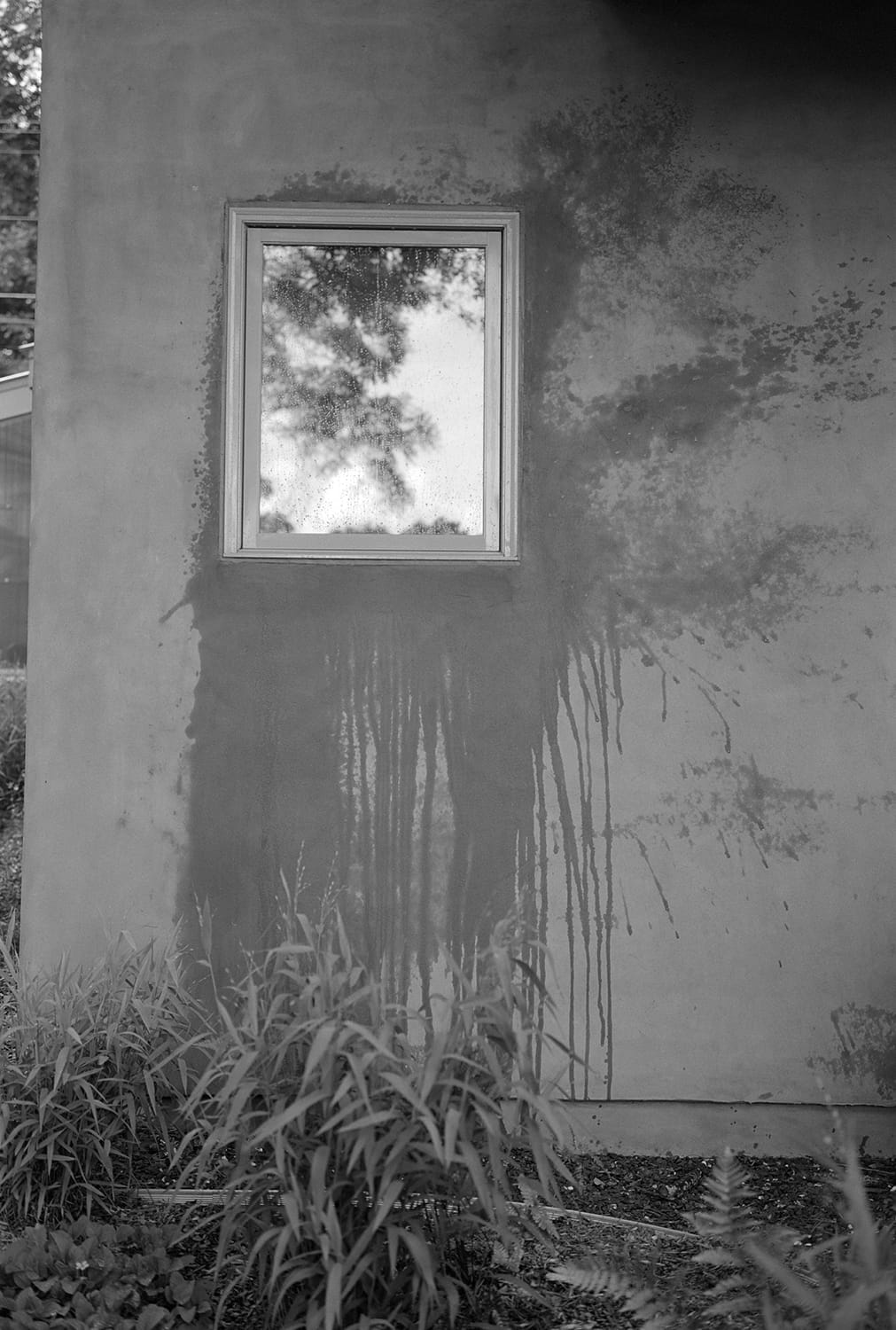 Window Washing, Our House, Athens, Georgia