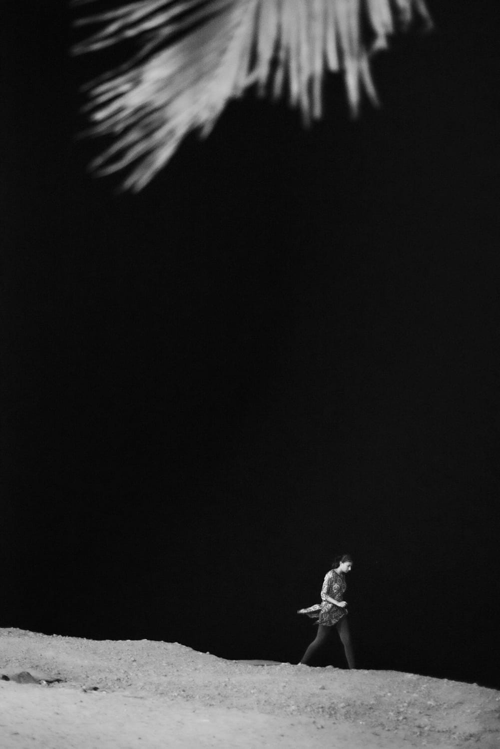 Woman And Palm